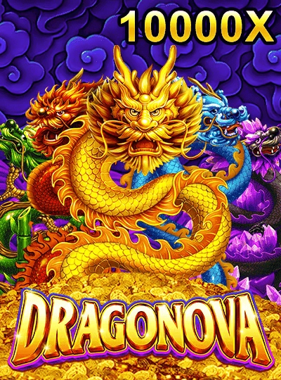 nv77733 nv77733